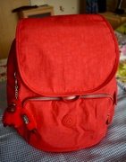 13th Jun 2017 - Red Backpack