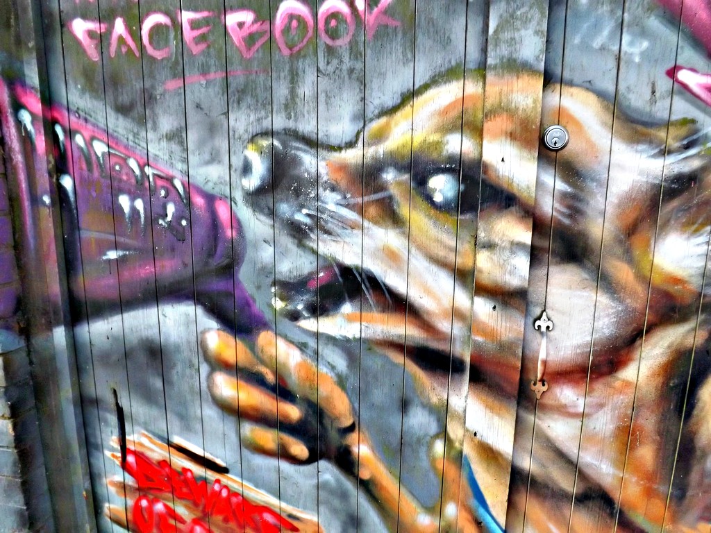Glastonbury Graffiti #6 by ajisaac