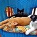 Spoiled Rotten Kitties by lynnz