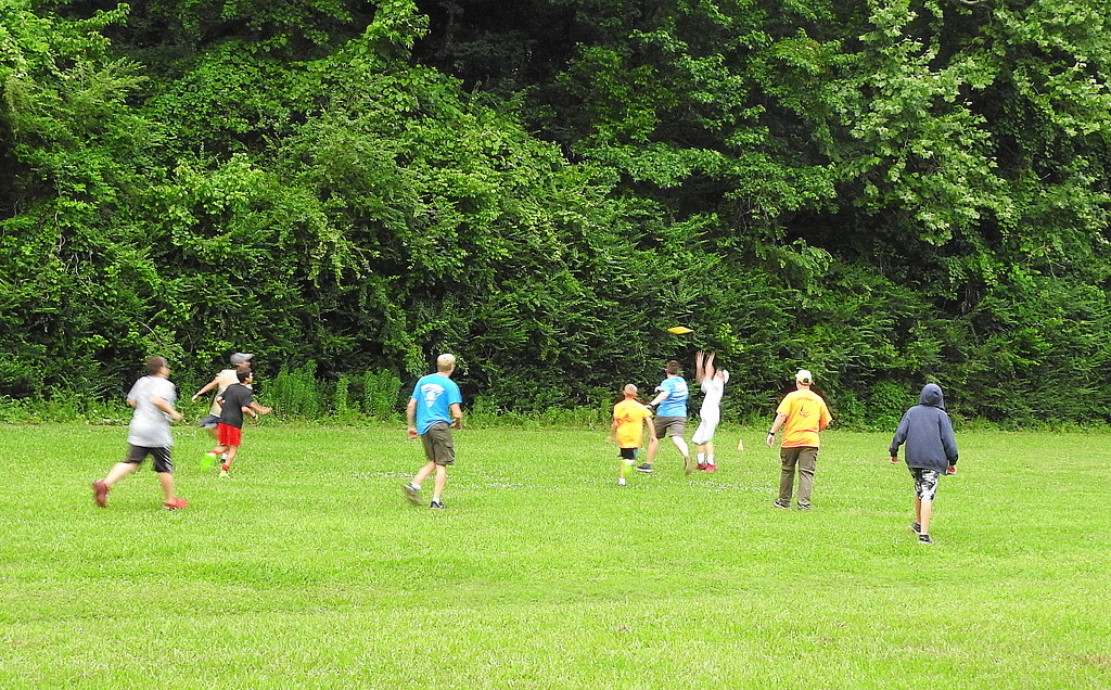 Ultimate Frisbee in the Park by homeschoolmom