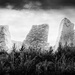 Stone Circle Mystery by davidrobinson
