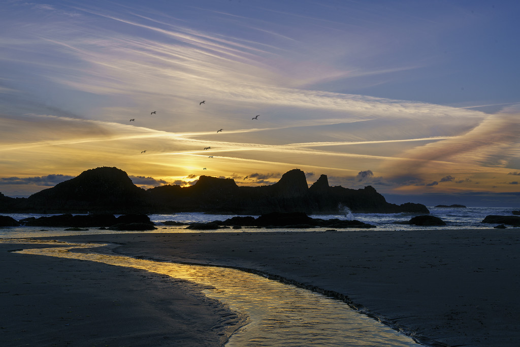 Seal Rock Sunset with Gulls by jgpittenger