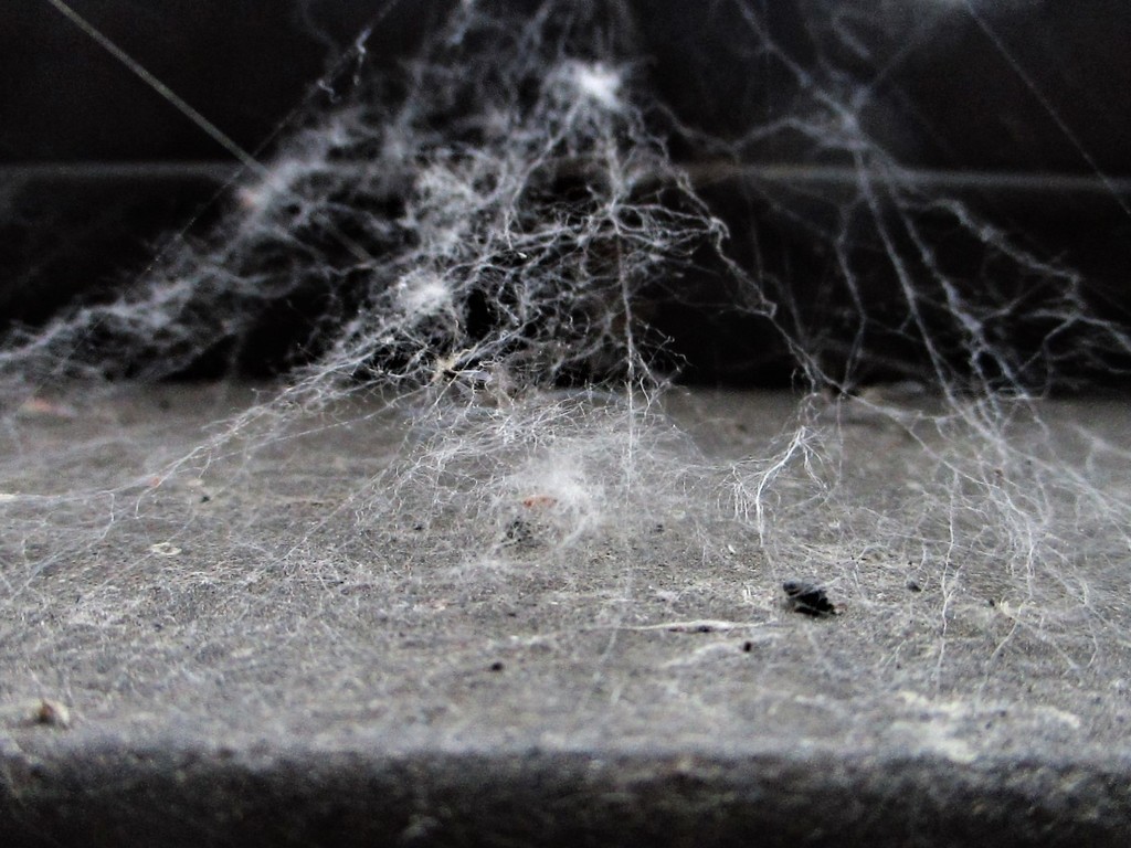 Dust in the Web by granagringa
