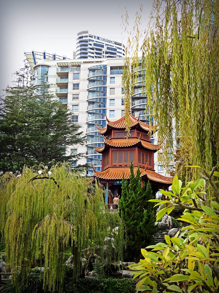 Chinese Gardens, Darling Harbour by yorkshirekiwi