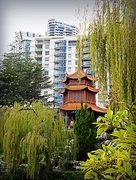 14th Jun 2017 - Chinese Gardens, Darling Harbour