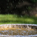 Water drops by peadar
