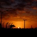 Sunrise with power poles by dkbarnett