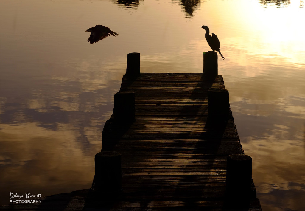 Lake silhouette by dkbarnett