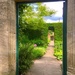 Down the garden path  by 365projectdrewpdavies