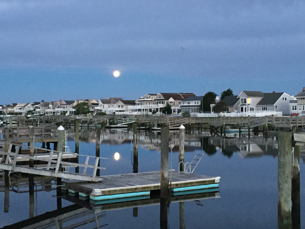 Morning moon on the bay by dancingmydance