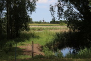 15th Jun 2017 - View on the windmill of Oud-Sabbinge