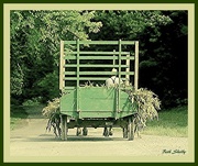 12th Jun 2017 - Amish Horse Drawn Vehicle