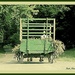 Amish Horse Drawn Vehicle by vernabeth