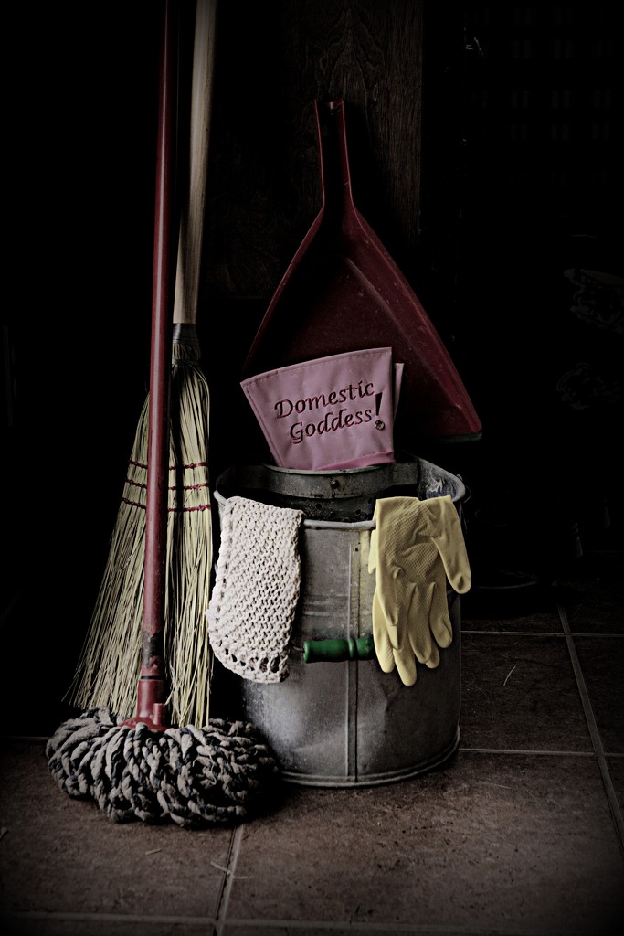 Broom and Mop Still Life by farmreporter