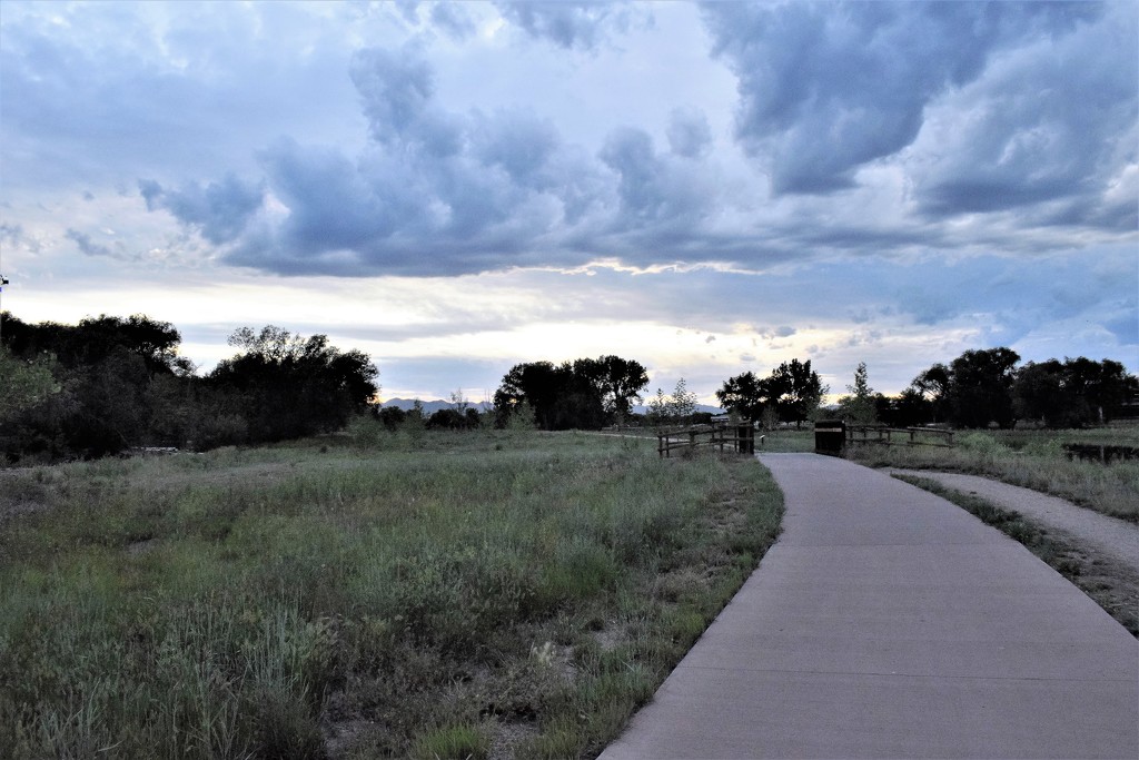 Evening on the Poudre River Trail by sandlily