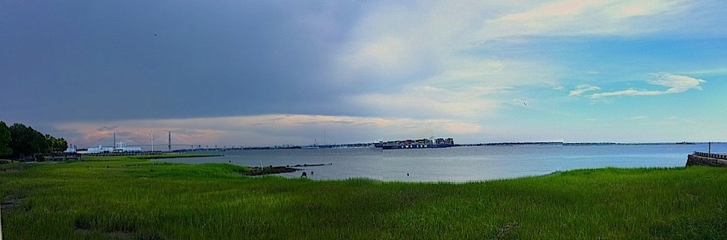 Charleston Harbor from Waterfront Park by congaree
