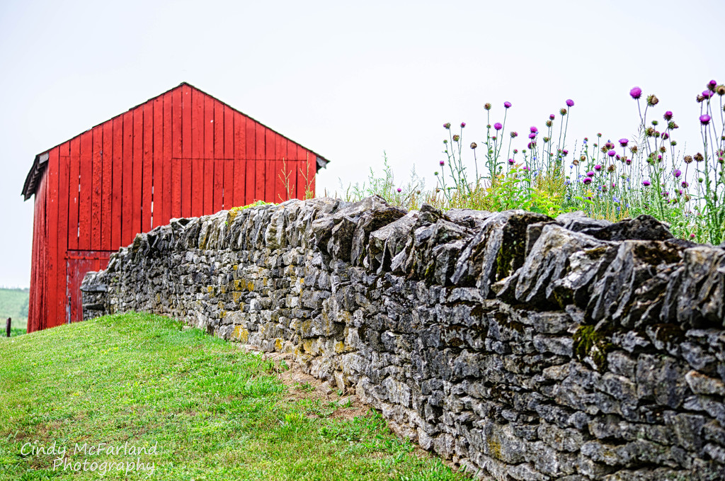 Red barn and rock wall by cindymc
