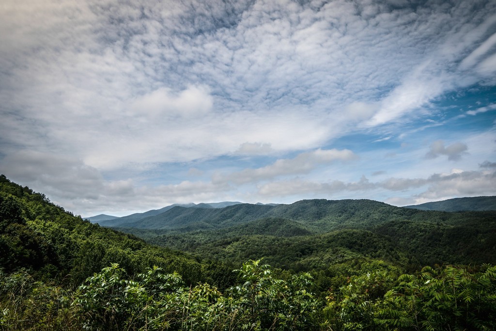 Blue Ridge Mountains, Near Ducktown, TN by darylo