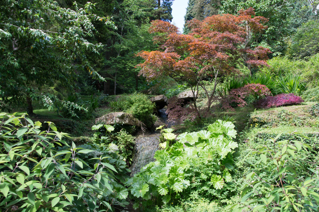 Batsford Arboretum by jon_lip
