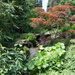 Batsford Arboretum by jon_lip