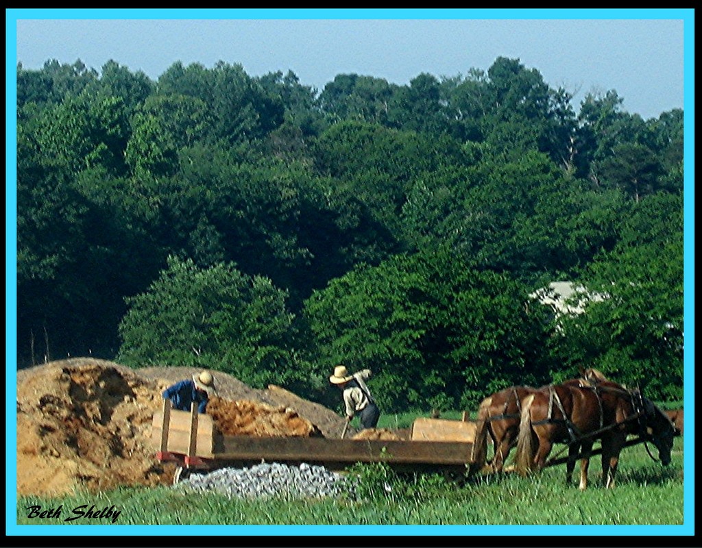 Hardworking Amish Farmers by vernabeth