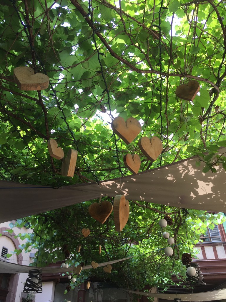 Hearts in a tree.  by cocobella