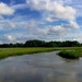 Marsh, sky and clouds, Charleston, SC by congaree