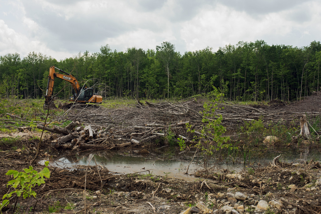 Land Clearing by farmreporter