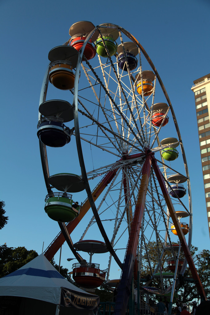 Ferris Wheel by steelcityfox