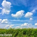 Fair weather clouds  by 365projectdrewpdavies