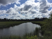 19th Jun 2017 - Tidal creek and summer clouds, Charleston, SC