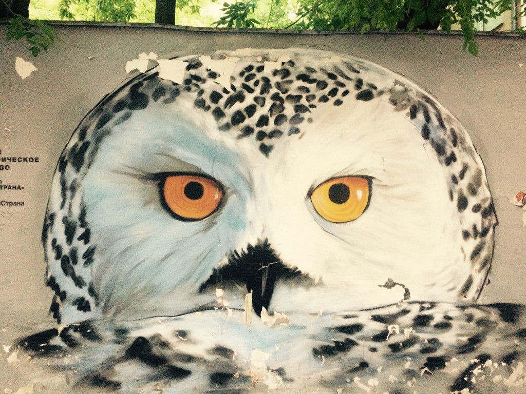 Arbat Street Owl by sarahabrahamse
