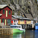 The Quidi Vidi Neighbourhood by Weezilou