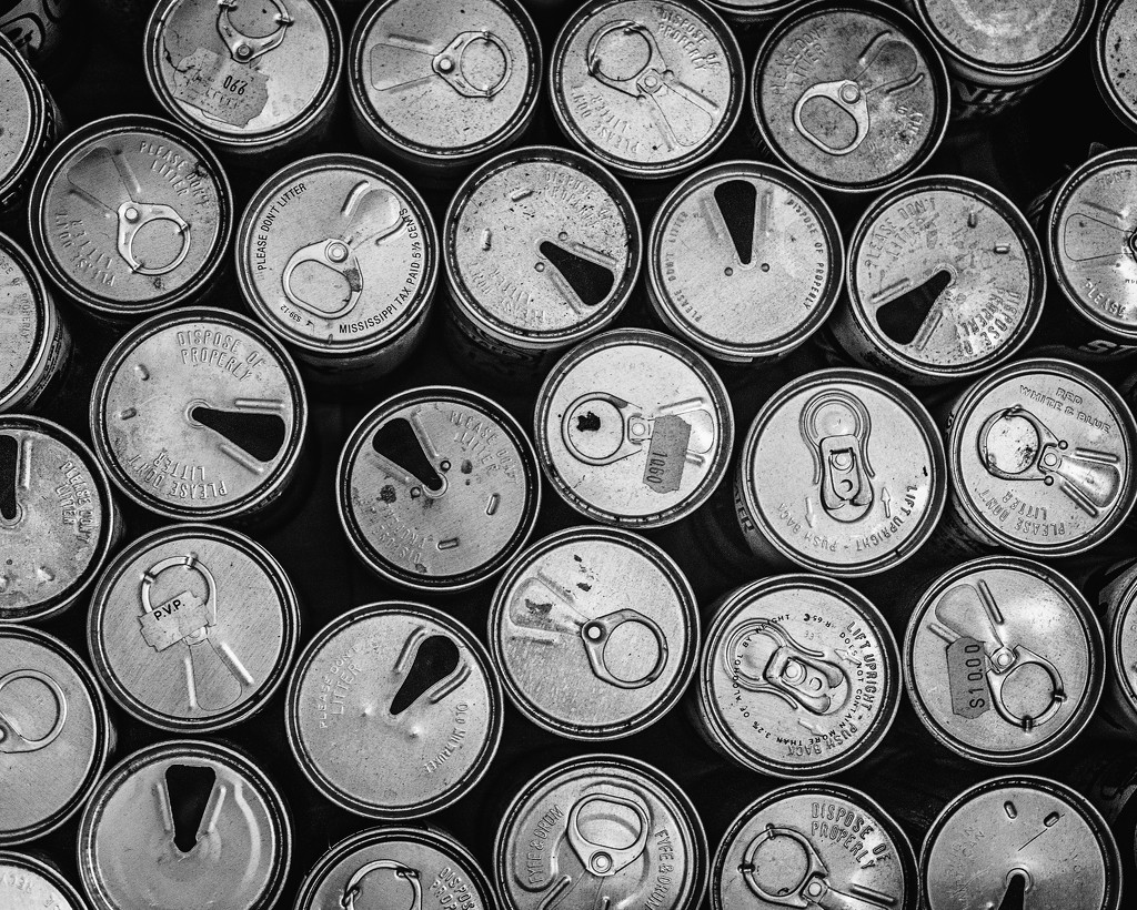 Beer. Can. Collection. by rosiekerr