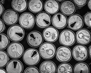 19th Jun 2017 - Beer. Can. Collection.