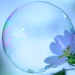 Bubble........... by ziggy77