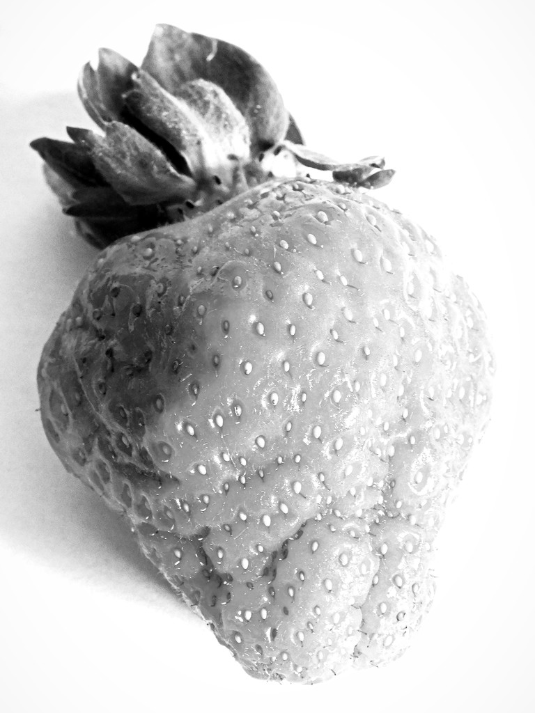 High contrast strawberry by 365anne