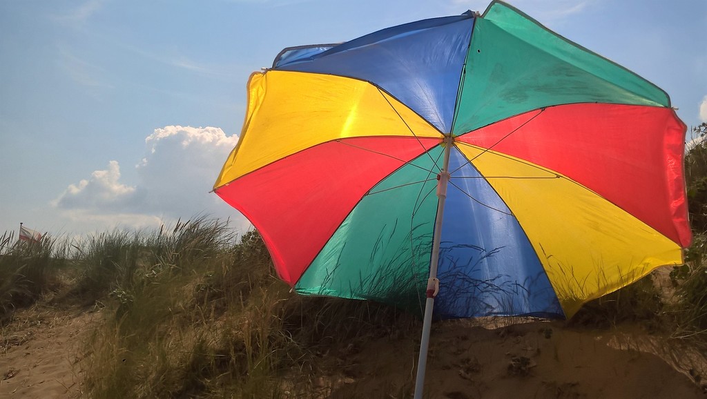 Under my sun umbrella  by brennieb