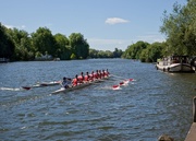 10th Jun 2017 - Returning From The Race