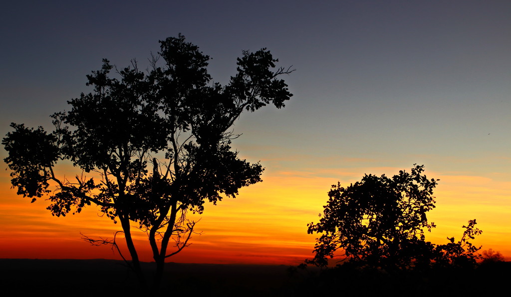 Sunset at Undara by terryliv