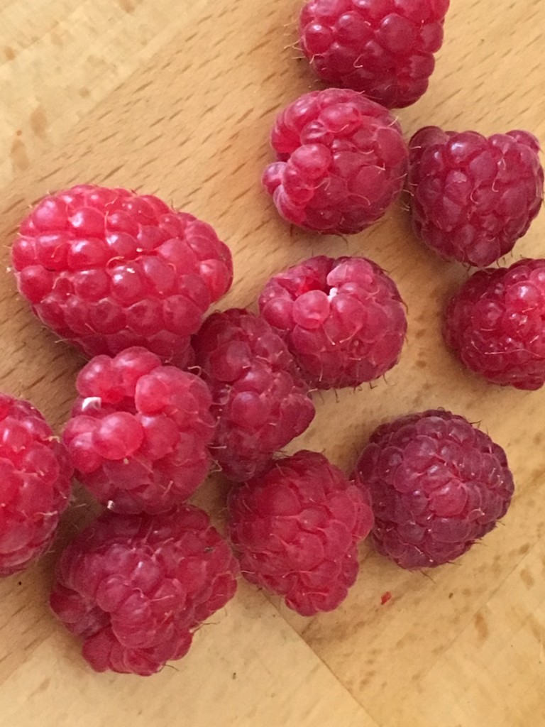 First Raspberries of the season  by cataylor41
