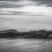 Inchcolm Abbey by frequentframes