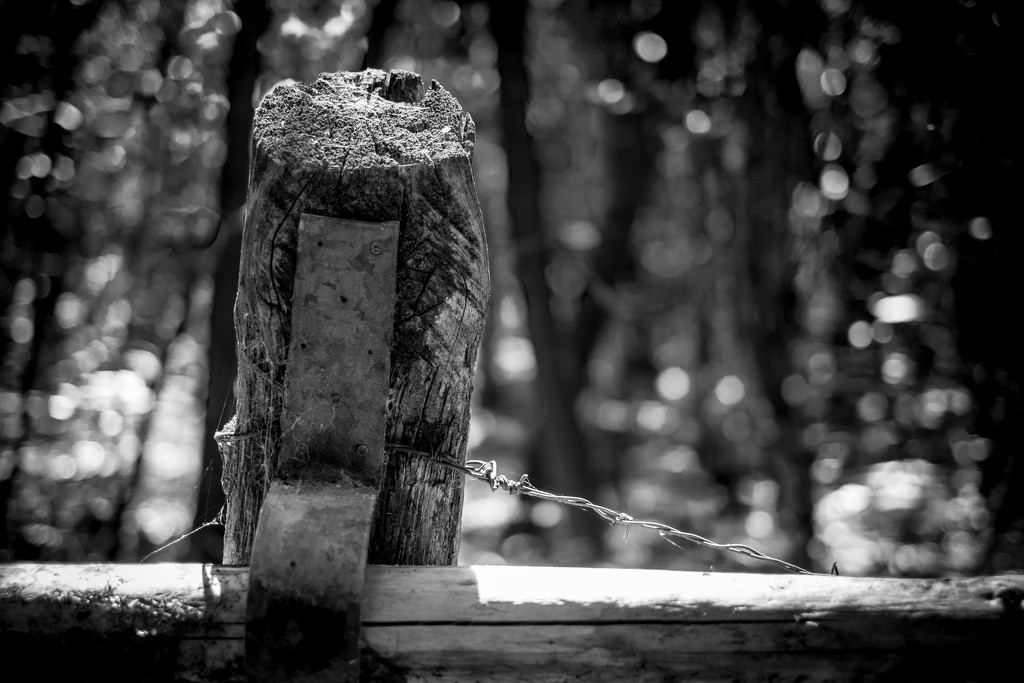 Occasional Fence Post 21 by vignouse