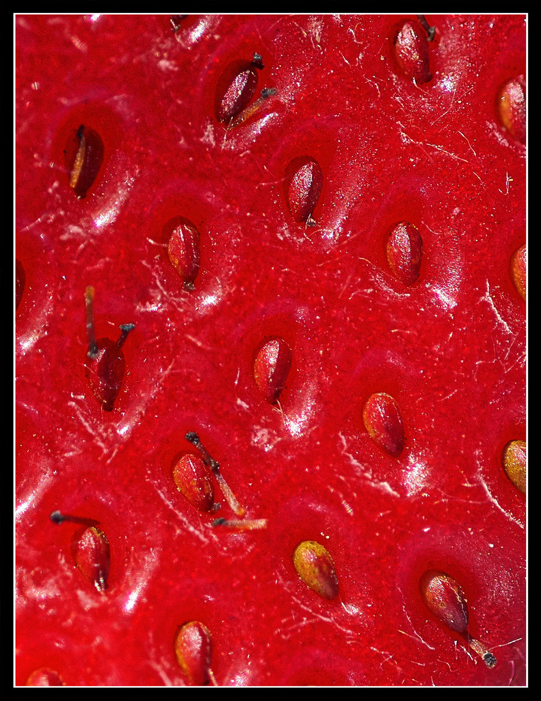  Future Strawberries by gardencat
