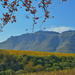 Stellenboschberg in Autumn hues...... by ludwigsdiana