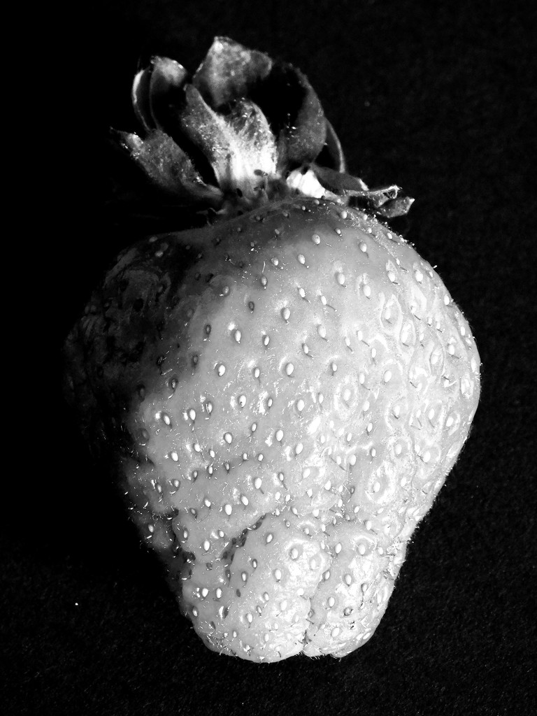 High contrast strawberry 2 by 365anne