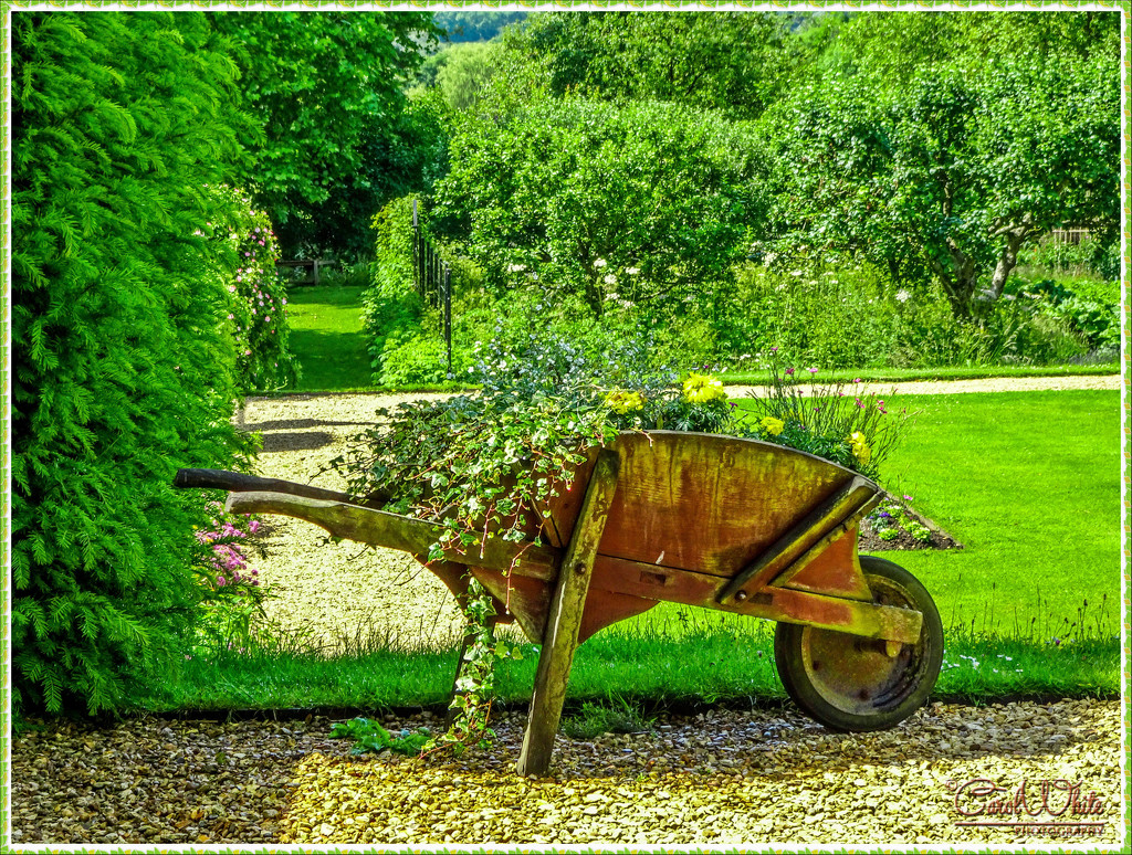 Floral Wheelbarrow, Canons Ashby Gardens by carolmw