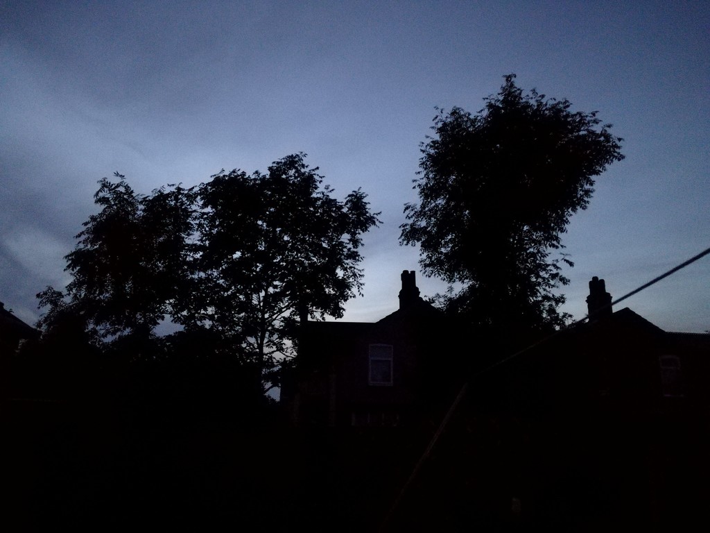 Evening Silhouette by plainjaneandnononsense