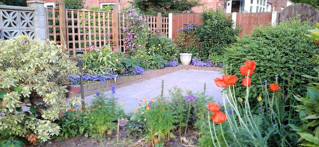 A corner of the garden  by beryl
