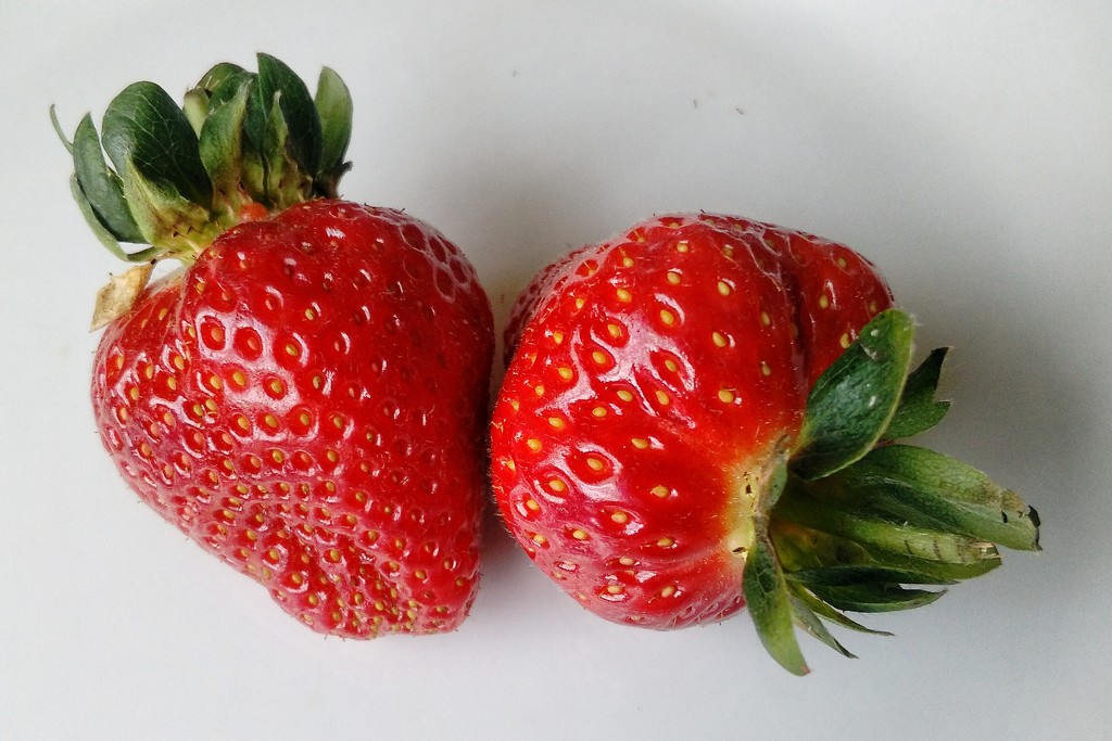 Strawberries by richardcreese